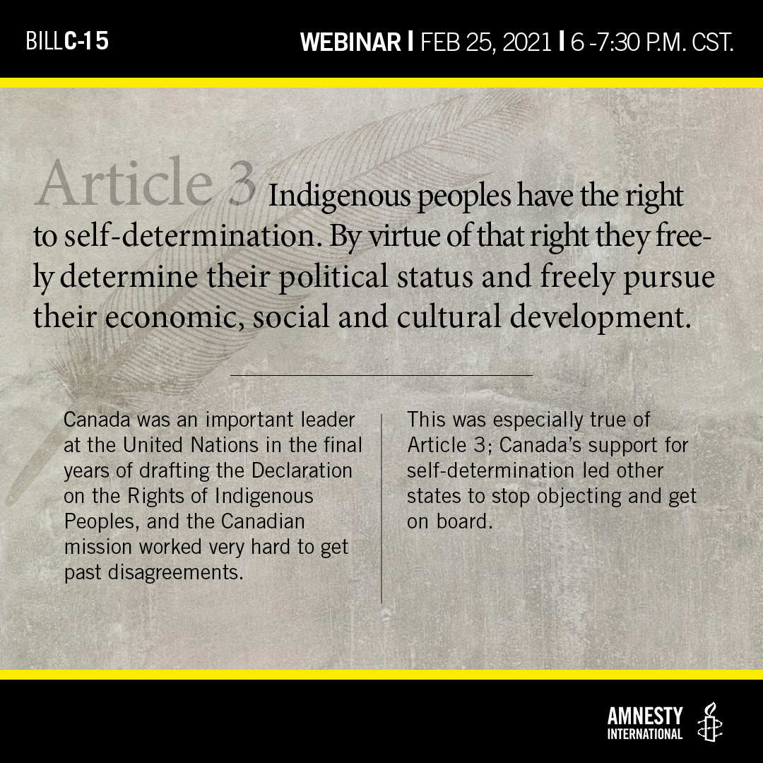 Article 3: Indigenous peoples have the right to self-determination. By virtue of that right they freely determine their political status and freely pursue their economic, social and cultural development