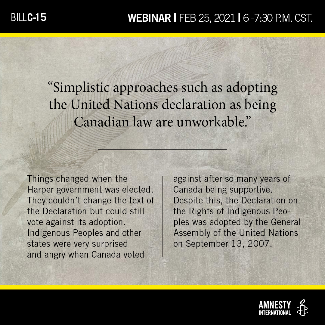 Quote, Simplistic approaches such as adopting the United Nations declaration as being Canadian law are unworkable