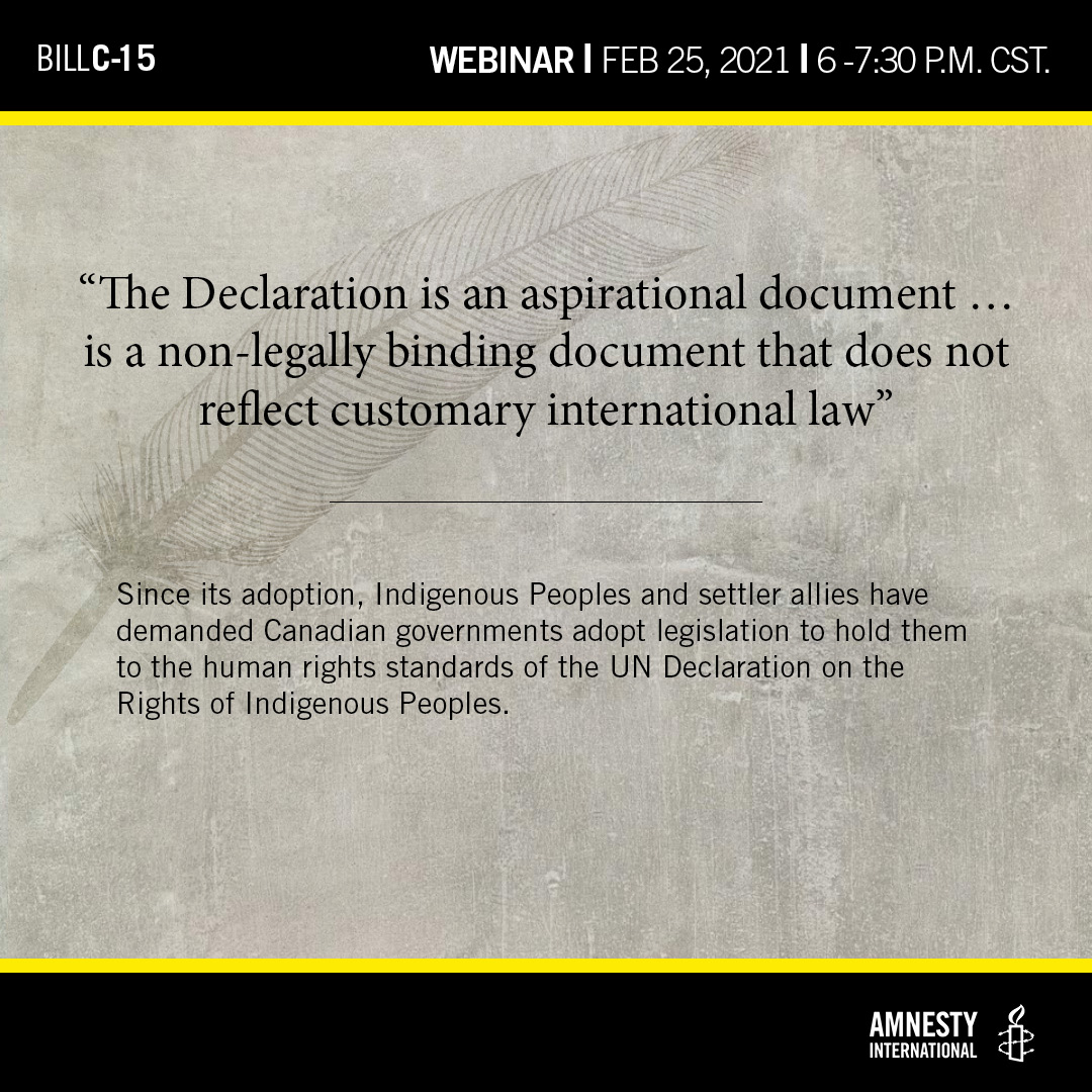 Quote, The Declaration is an aspirational document… is a non-legally binding document that does not reflect customary international law