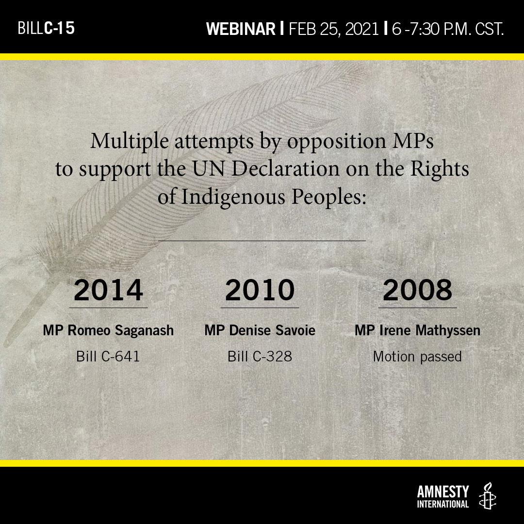 Multiple attempts by opposition MPs to support the UN Declaration of the Rights of Indigenous Peoples: 2014, MP Romeo Saganash Bill C-641, 2010, MP Denise Savoie Bill C-328 and 2008, MP Irene Mathyssen Motion passed