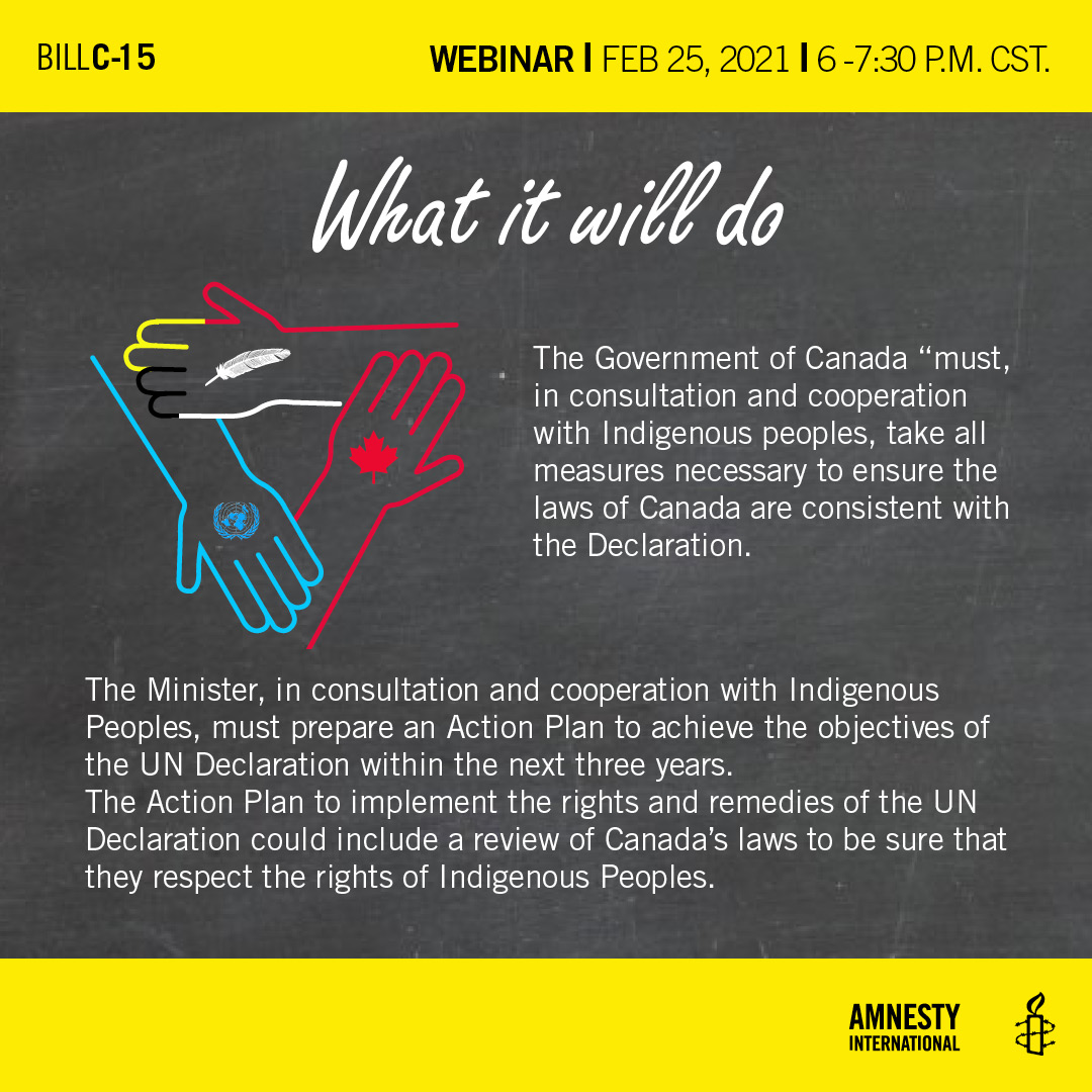 The Government of Canada “ must, in consultation and cooperation with Indigenous peoples, take all measures necessary to ensure the laws of Canada are consistent with the Declaration